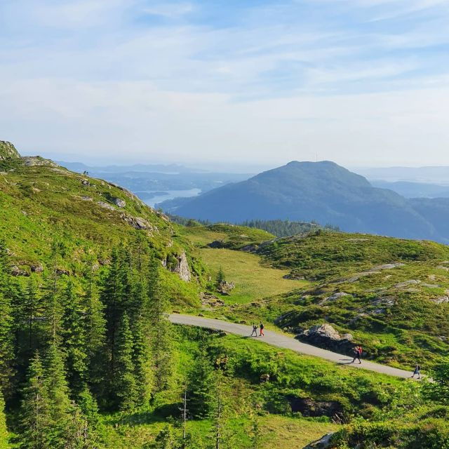 Bergen: Mountain Hike on Top of Bergen – Public Tour