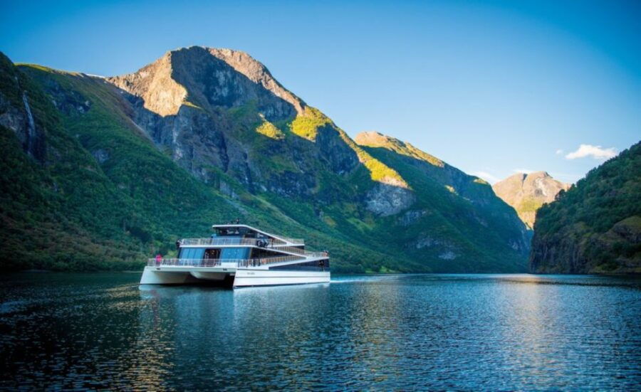 Bergen: Nærøyfjord Cruise & Goat Cheese Causerie in Undredal - Tour Highlights