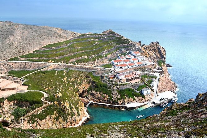 Berlenga Grande Island Private Tour From Lisbon - Pricing and Booking Information