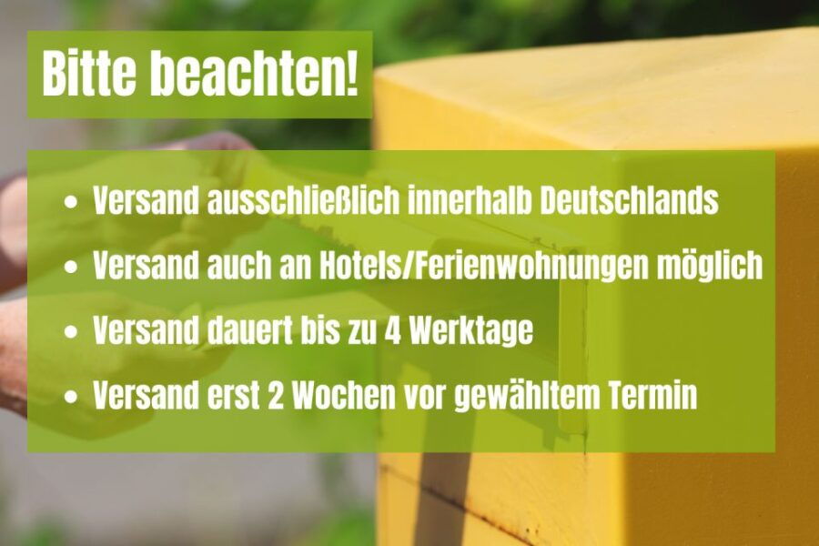 Berlin: Scavenger Hunt Through Friedrichshain - Good To Know