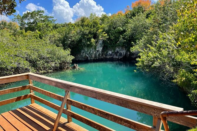 Bermuda Small-Group Jungle, Eco-Tour