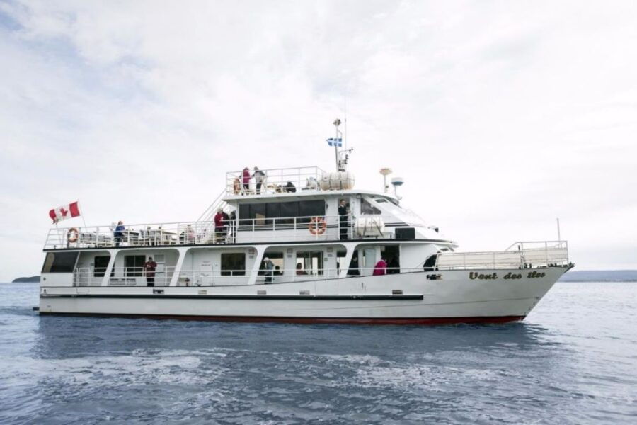 Berthier-sur-Mer: Razorbill Penguin Observation Cruise