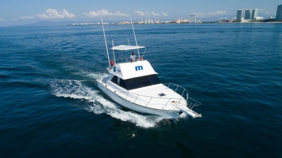Bertram 38′ Convertible Boat in Puerto & Nuevo Vallarta