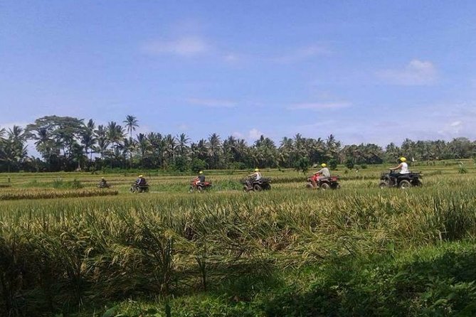 Best Bali ATV Ubud Tour Include Private Transport - Good To Know
