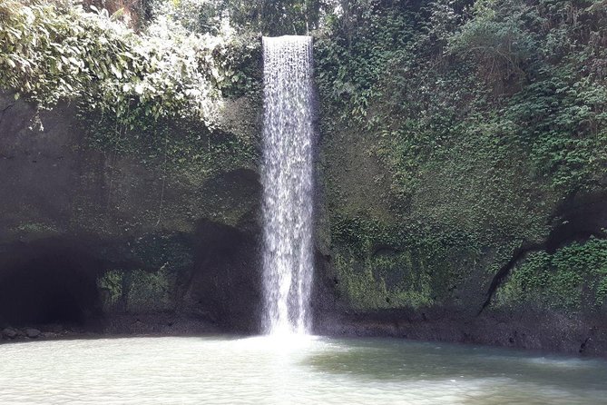 Best Bali Waterfall Private Tour - Good To Know