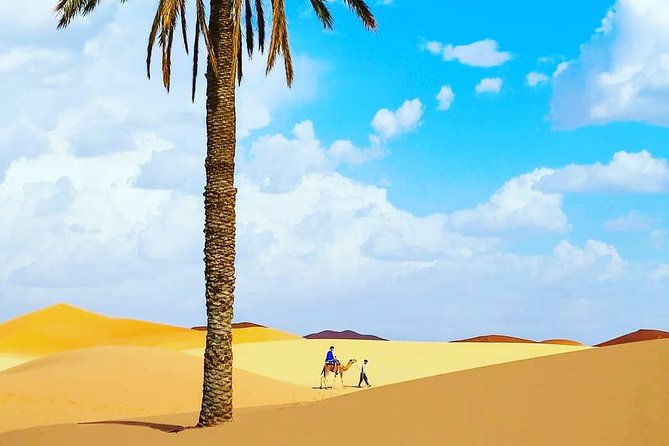 Best Casablanca Desert Trips - Good To Know