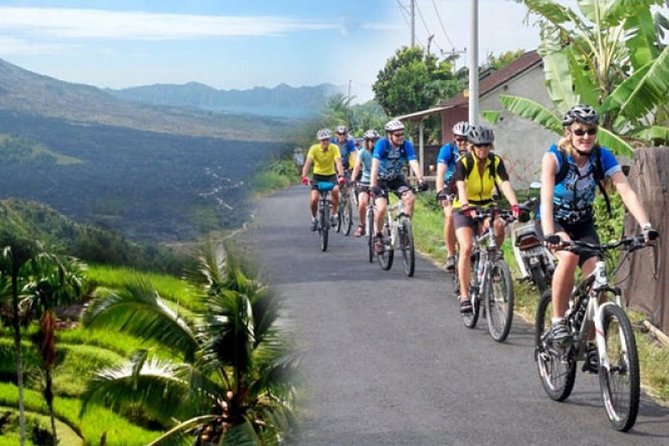 Best Kintamani - Ubud Bali Bicycle Tours - Good To Know