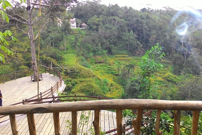 Best of Bali : Ubud, Rice Terrace, Tanah Lot Temple With Lunch - Good To Know