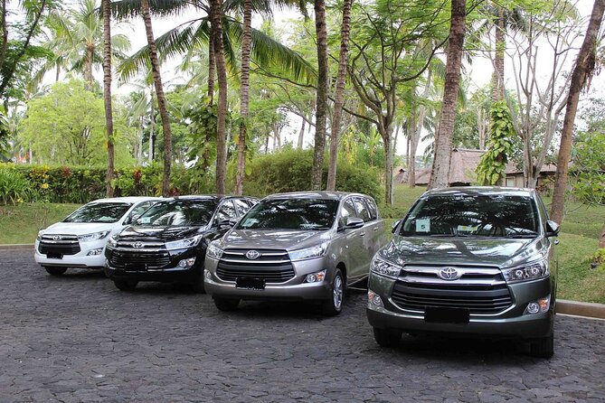 Best of Central Bali: Waterfall, Elephant Cave & Rice Fields - Good To Know