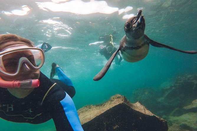 Best of Galapagos 7-Day Tour With Hotels and Transport (Feb )
