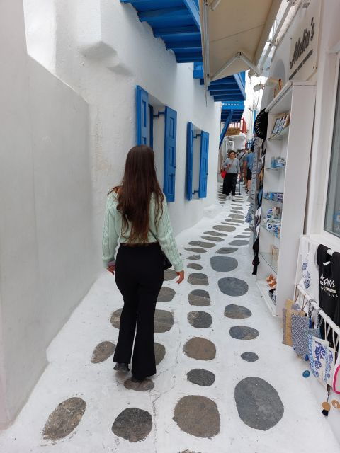 Best of Mykonos Island 4 Hours Private Tour - Good To Know