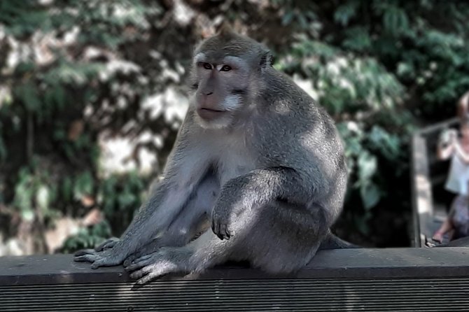 Best of Ubud - All Inclusive - Good To Know