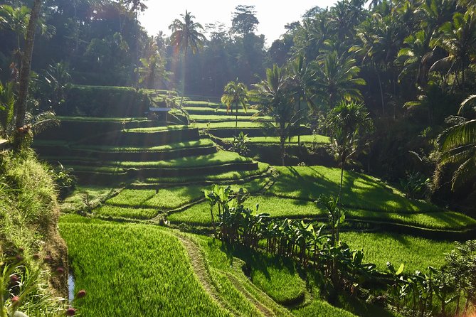 Best Of Ubud, Hot Spring and Mount Batur Volcano View
