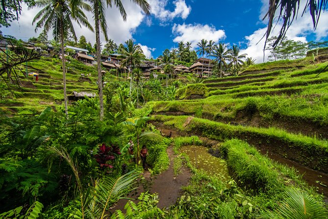 BEST OF UBUD: Monkey Forest, Waterfall, Temple, Rice Terrace, Art - Good To Know