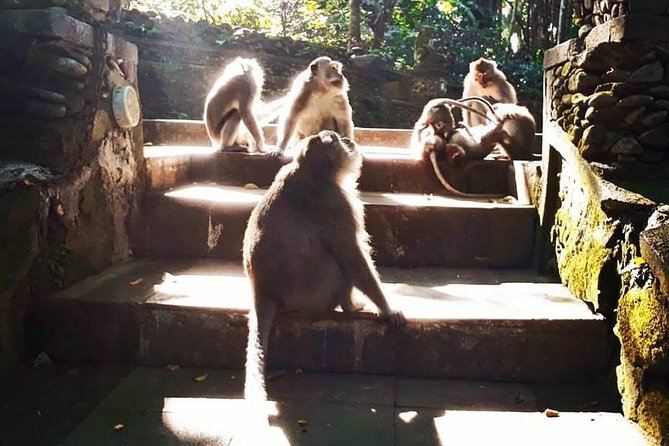 Best Of Ubud : Natural, Traditional and Cultural Combination Trip - Good To Know