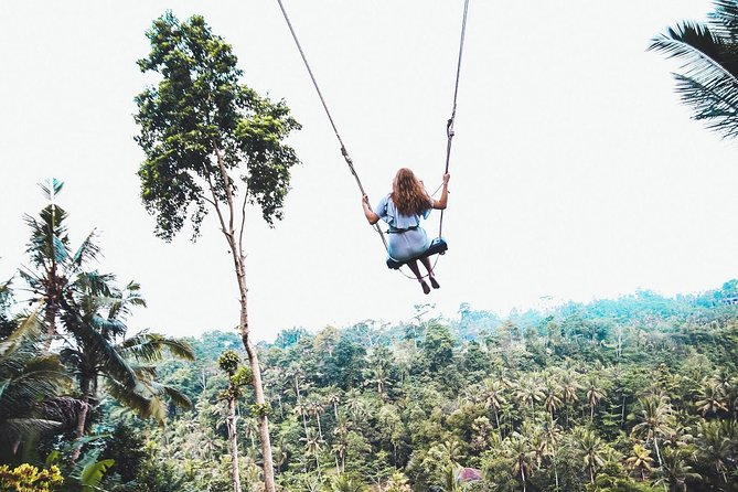 Best of Ubud Tour With Jungle Swing - Good To Know