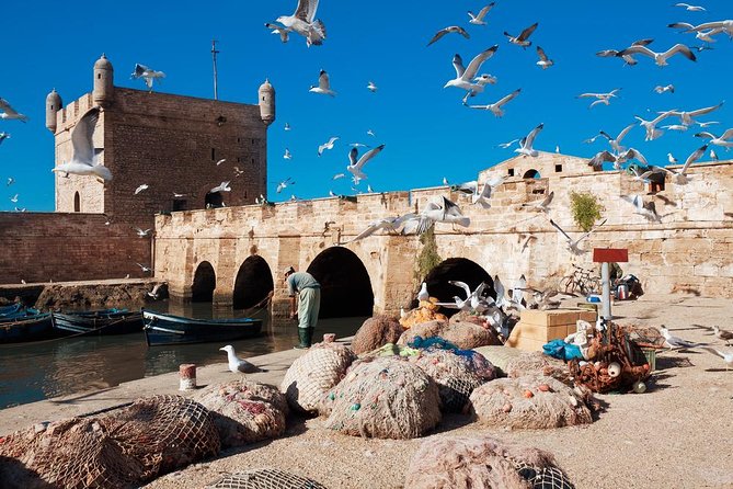 Best Shared Day Trip to Essaouira From Marrakech - Good To Know