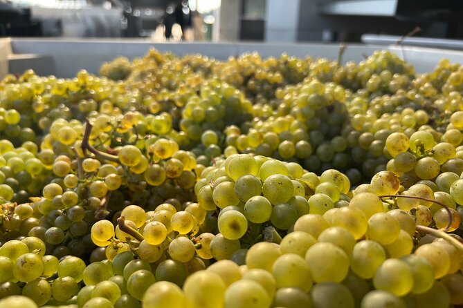 Best Wines Best Views Full Day Private Willamette Valley Tours
