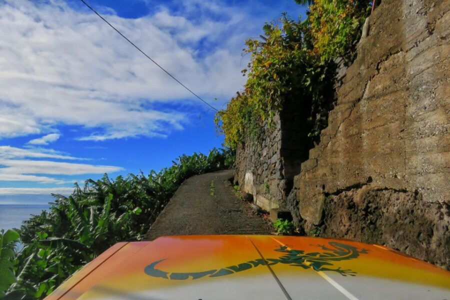 Bestselling Adventure in the Sunny Southwest – Rum & Banana