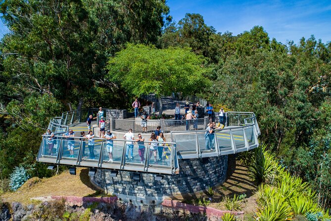 Bestselling Wine Tour, Tasting Experience & Skywalk 4x4 Adventure