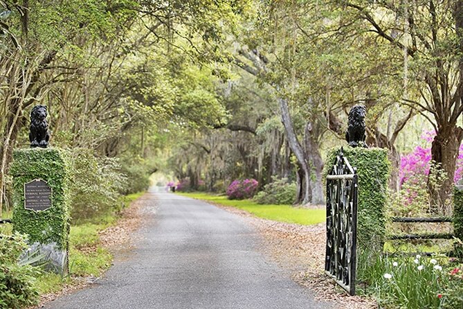 Beyond Charleston Half-Day Private Tour to Historic Landmarks