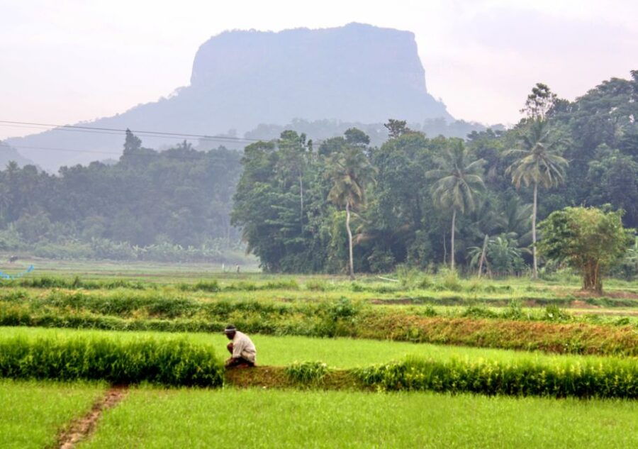 Bible Rock: Private Guided Hiking Expedition