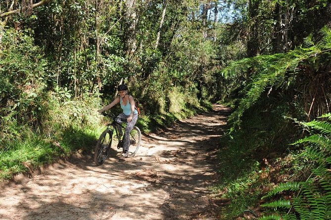 Bicycle Rental in Horto Florestal – Campos Do Jordão