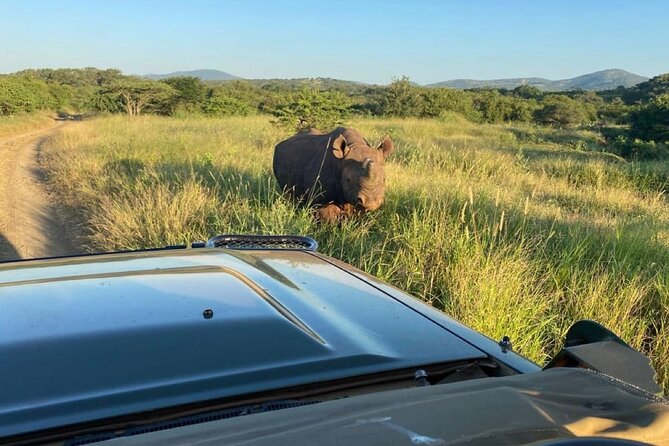 Big 5 Luxury Safari at Manyoni Private Game Reserve Binoculars