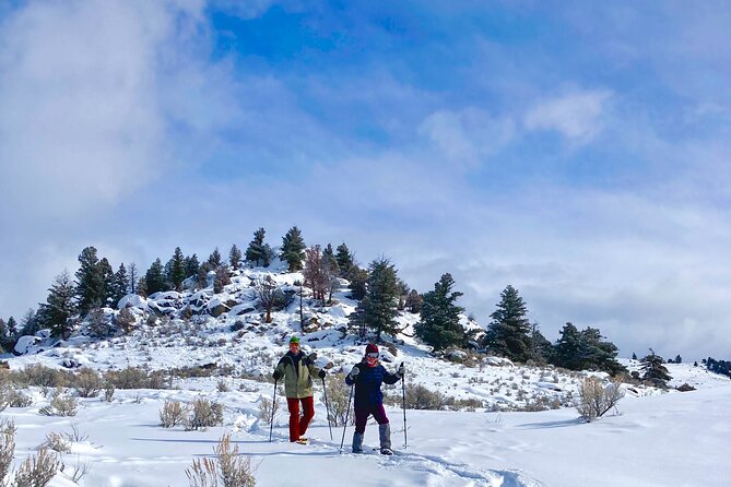 Big Sky Snowshoe & Wildlife Adventure With Lunch – Private Tour