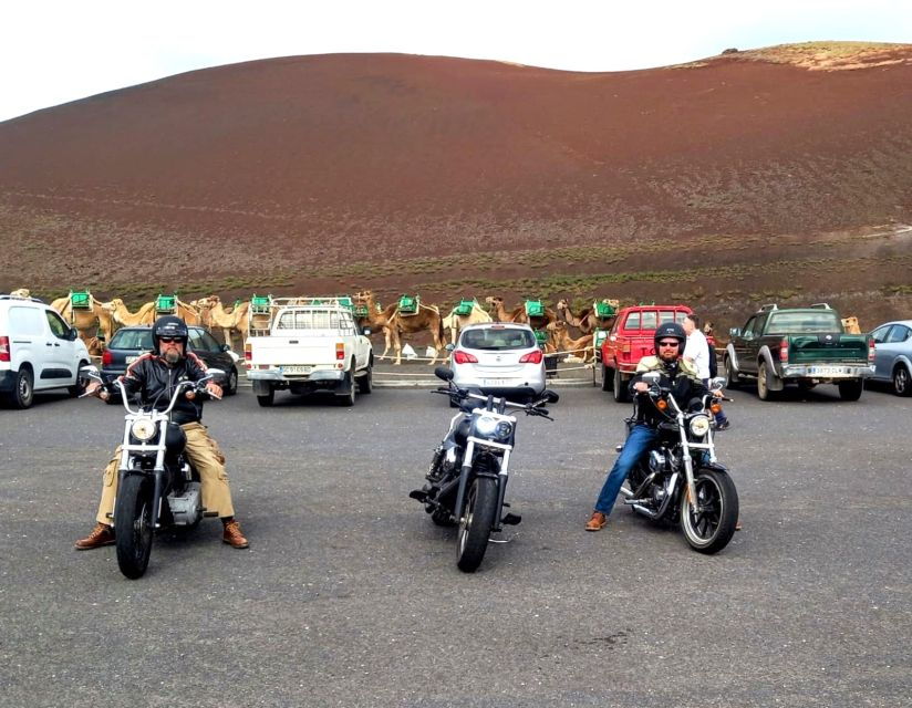 Biker-Tours on a Harley Davidson