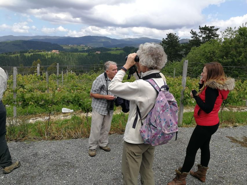 Bilbao: Organic Winery Visit With Tasting