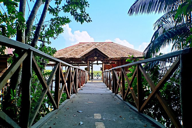 Bintan Mangrove Discovery Tour - Good To Know