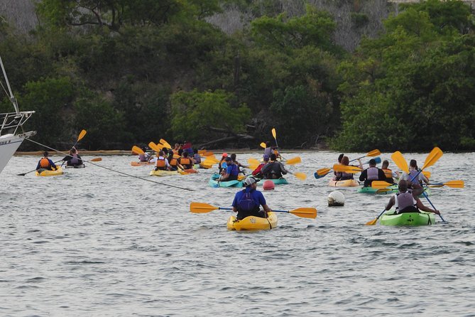 Bio Bay Night Kayaking – Round-Trip Transportation From San Juan Area