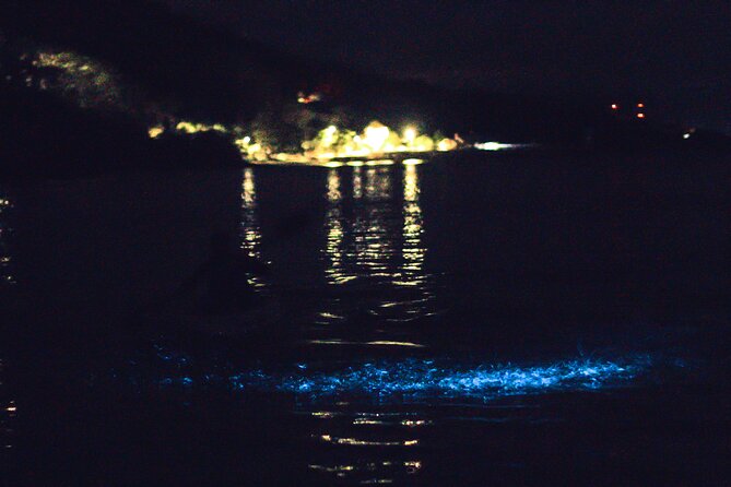 Bioluminescent Kayak Tour - Good To Know