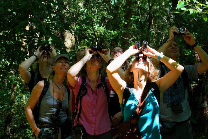 Birdwatching at Mundo Aventura Natural Park