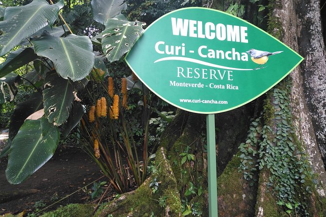Birdwatching Curi Cancha Reserve With Transport (Entrance Fees NOT Included)