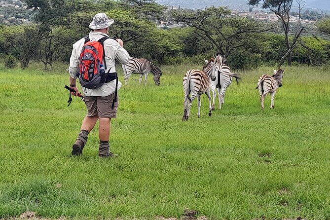 Bisley Valley Nature Reserve Hike With Giraffes and Zebras - Good To Know