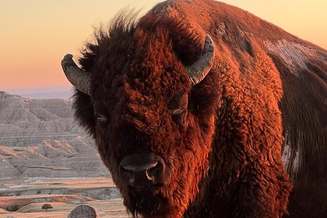 Black Hills Native Culture and History, Dual Guides