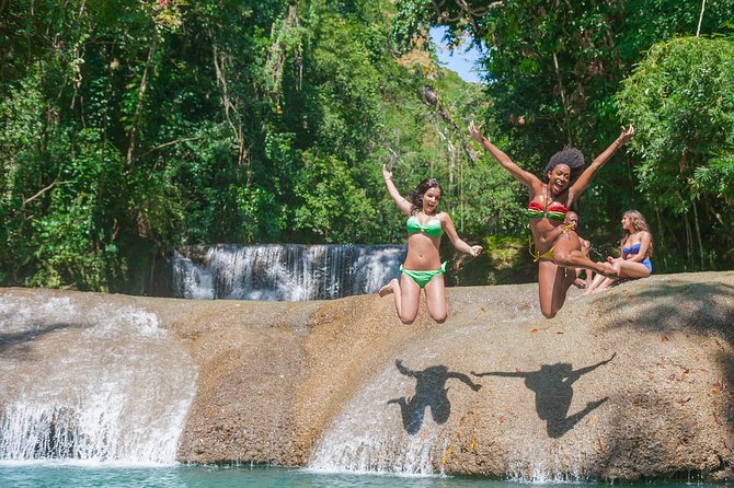 Black River Safari Plus YS Falls Private Tour