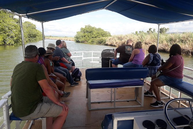 Black River Safari Tour From Montego Bay