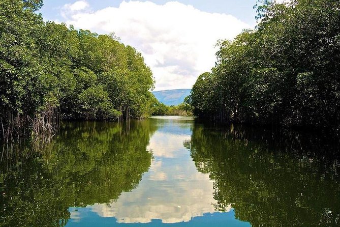 Black River Safari & YS Falls Tour From Runaway Bay