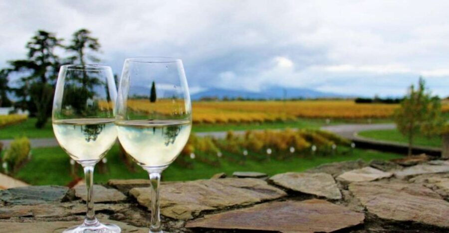 Blenheim: Progressive Wine & Gourmet Trail of Marlborough - Good To Know