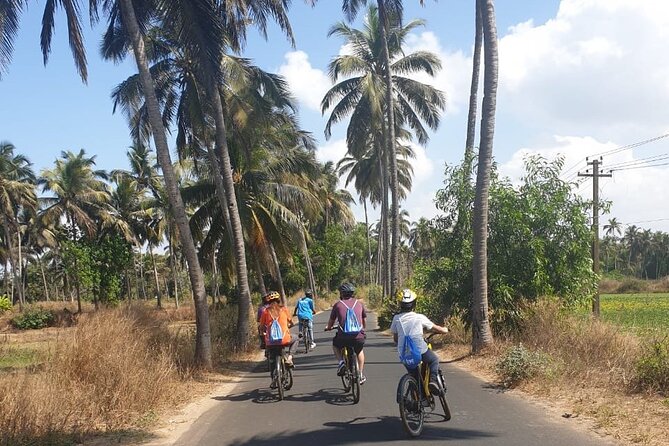 BLive Electric Bike Tours – Countryside Escape to Varca - Good To Know