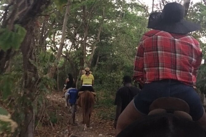 Blue Hole Irie Falls, Ohoco Rios City Tour & Horse Back Riding - Good To Know