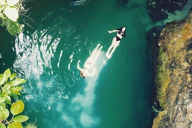 Blue Hole Mineral Spring and Herb Farm Private Tour - Good To Know