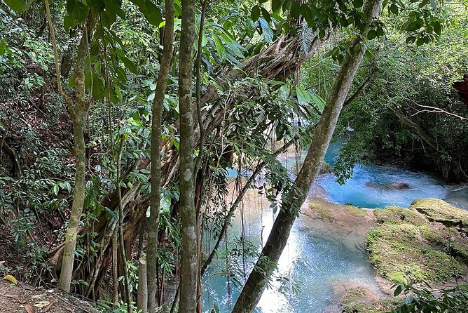Blue Hole Secret Falls From Montego Bay * {Entry Fee Included }