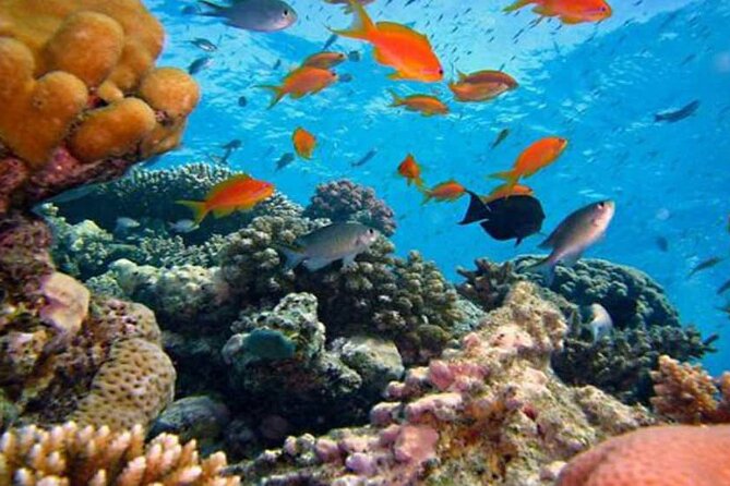 Blue Lagoon Bali Snorkeling Activities All Inclusive - Good To Know