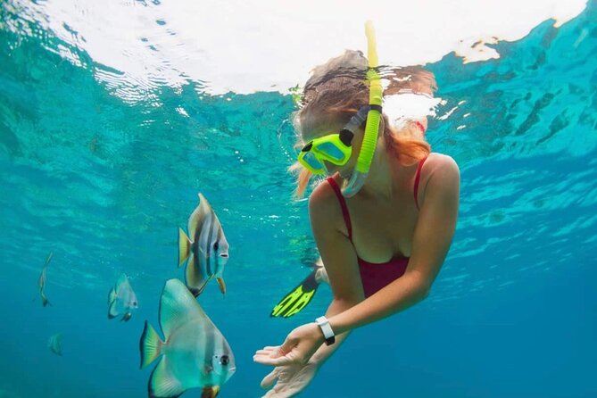 Blue Lagoon Snorkeling and Lunch With Tukad Cepung Waterfall - Good To Know