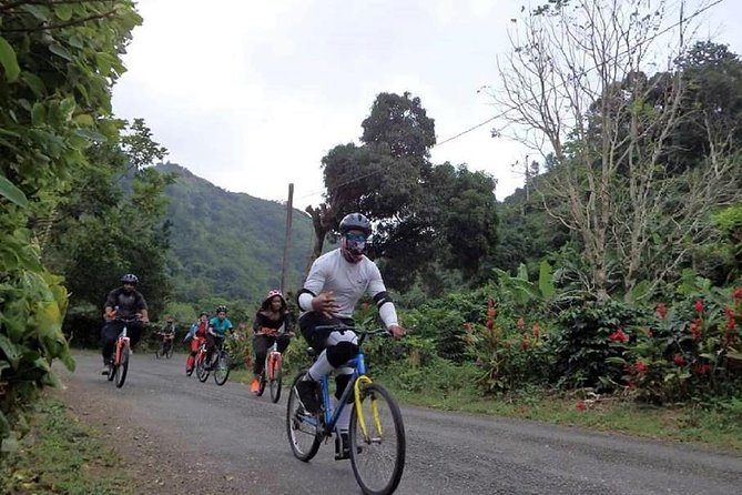 Blue Mountain Bicycle Tour From Ocho Rios