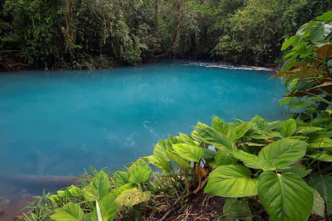 Blue River and Tenorio Volcano National Park Hike